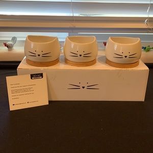 Koolkat kitty cat pots planters